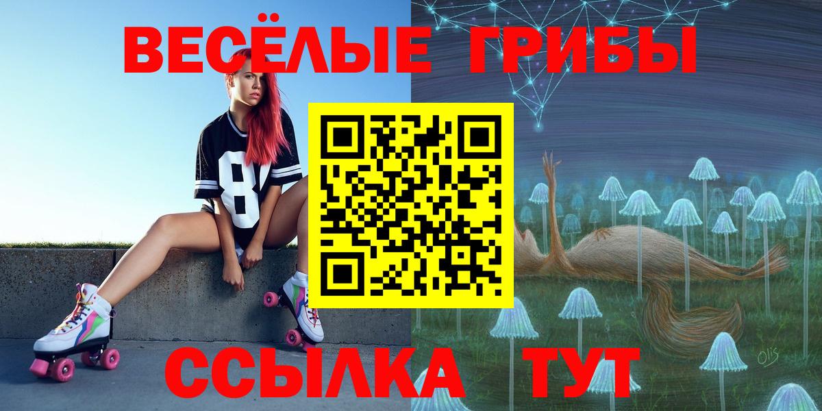 Галлюциногенные грибы Magic Shrooms  Псилоцибиновые грибы Psilocybe  Нижнекамск  Вход с VPN 