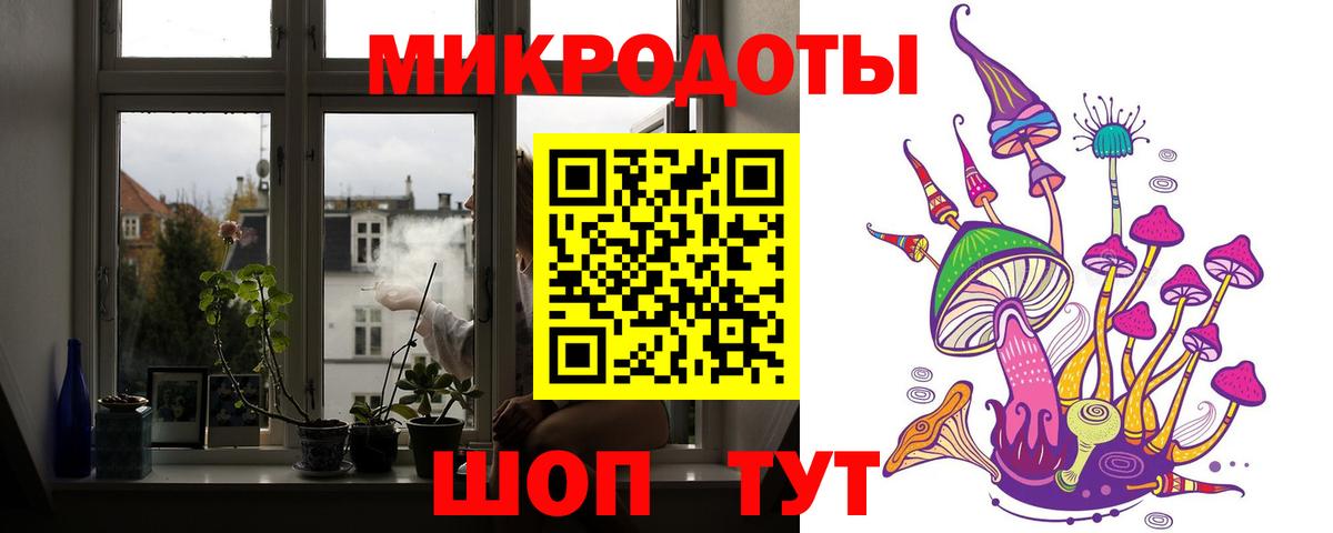 Галлюциногенные грибы Psilocybe Нижнекамск